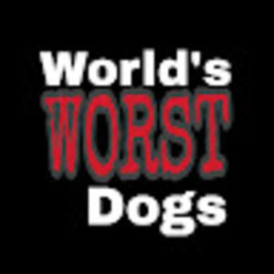 Meet your Posher, World's